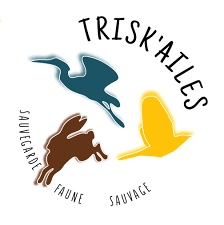 logo-triskailes